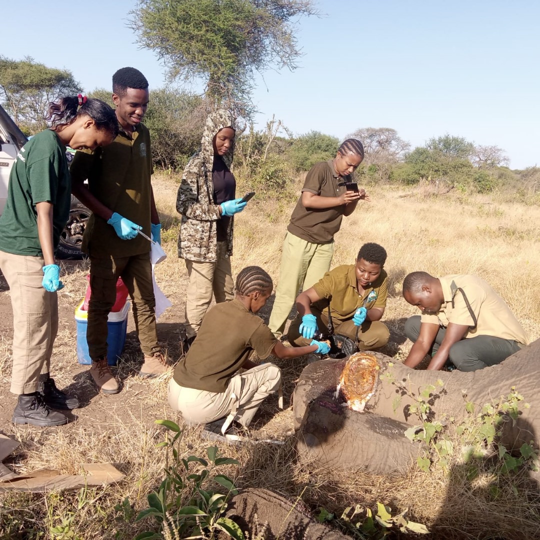 An Exciting Adventure and Coursework for Our Third Year BSc Wildlife Management 2024