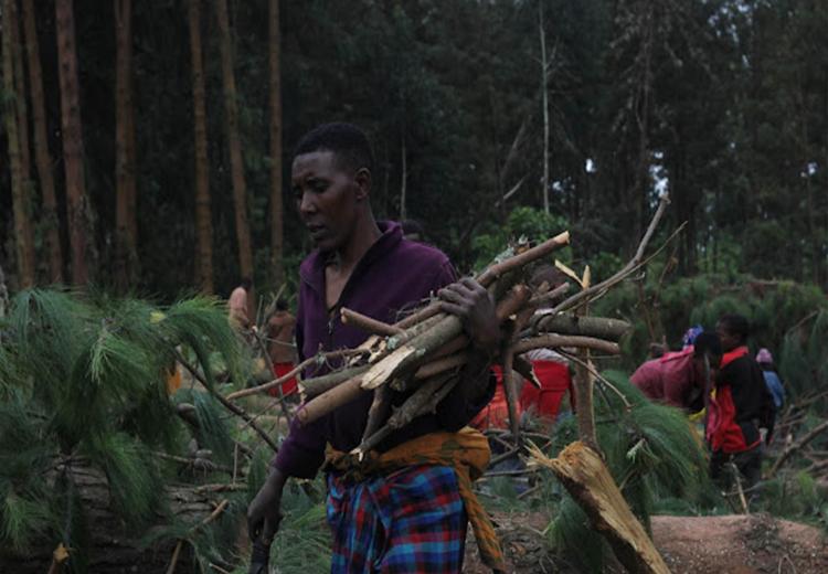 Wananchi wa Arusha Wapongeza Menejimenti ya SUA kwa Kuwawezesha Kiuchumi Kupitia Msitu Wake wa Mafunzo wa Olmotonyi