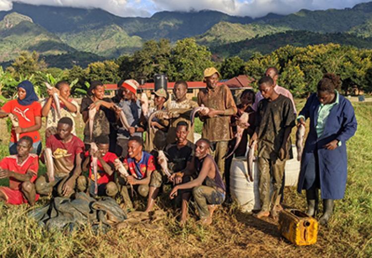 Quality Fish Harvest at the Model Training Farm