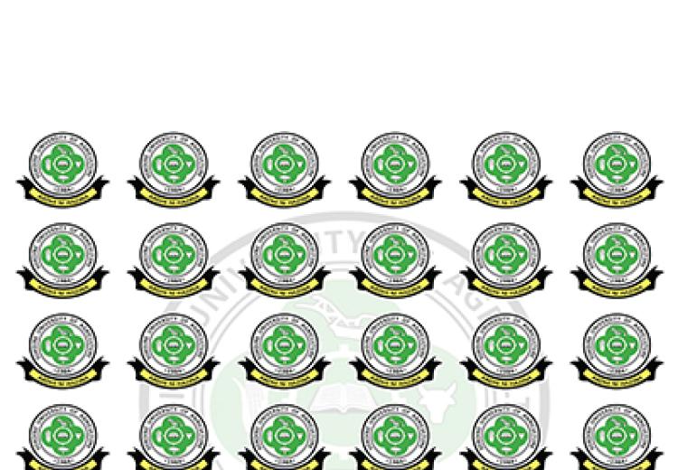 Mdahalo wa Kitaifa wa Kumbukizi ya Hayati Edward Sokoine