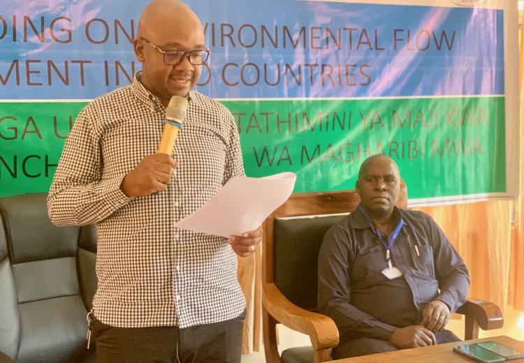 EFLOWS Project activities