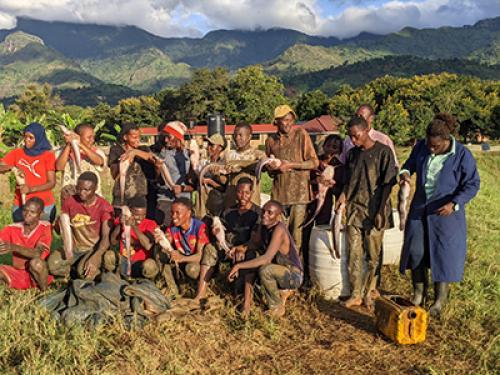 Quality Fish Harvest at the Model Training Farm