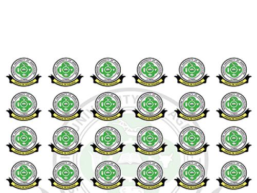 Mdahalo wa Kitaifa wa Kumbukizi ya Hayati Edward Sokoine