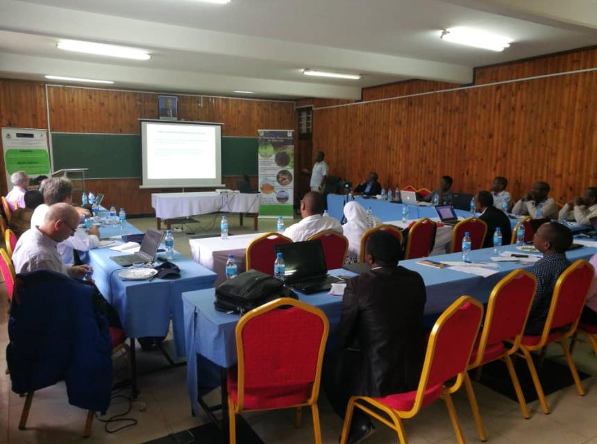 Timber rush conference