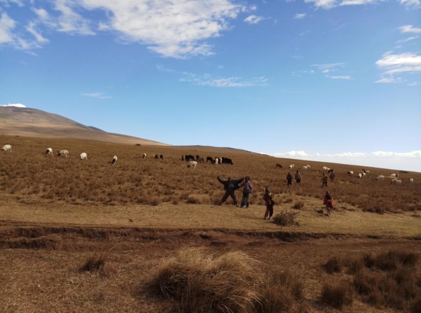 A photo showing maasai children near grazing livestock around 17.00 EAT, Sept. 2018 in Ngorongoro Conservation Area, Tanzania (Consent sought)