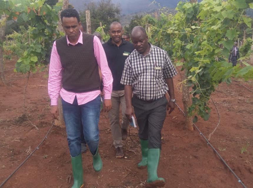 Hussein Bashe visiting SUA