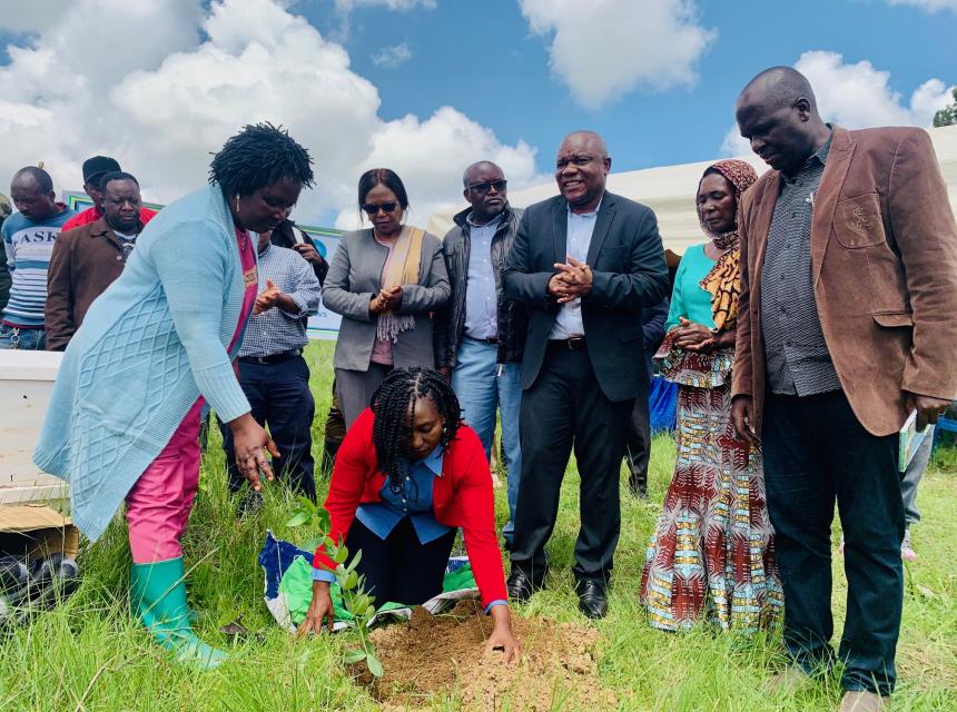 SUA na NEMC Yapanda Miti Zaidi ya 45,000 katika Vyanzo vya Maji Nyanda za Juu Kusini