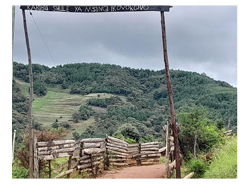 SUA Playing a key role in the Makete-wheat Project