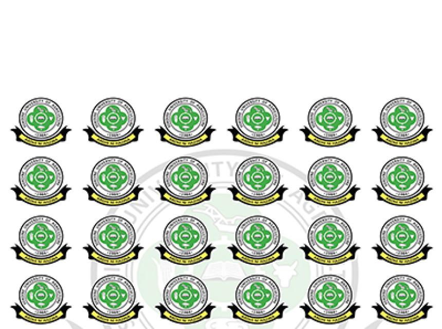 Mdahalo wa Kitaifa wa Kumbukizi ya Hayati Edward Sokoine