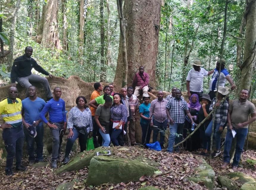 SUA REFOREST Programme